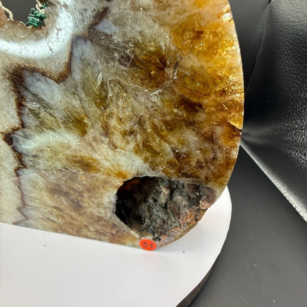 Citrine Cat Carving Extra Large Heat Treated Amethyst Quartz Crystal Animal 51 - Picture 5 of 16